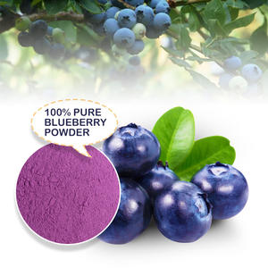 GMP-055 Atacado Pure Nature Blueberry Extrato Antocianina Boldo Extrato Em Pó - Product Image 4