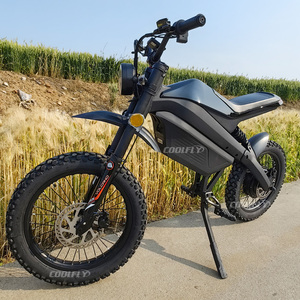 Motocicleta Eléctrica Todoterreno de Suspensión Completa Más Popular y Económica de 60v 48v 2000w 3000w - Product Image 1