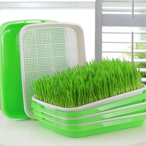 Bandeja de germinación para brotes de frijol, cultivo de vegetales, hidroponía, germinador de semillas, plato de germinación con drenaje - Product Image 1