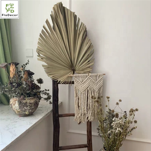 Venta al por Mayor de Hojas de <span class=keywords><strong>Palma</strong></span> Secas Artificiales Naturales Procesadas, Hojas de Abanico Secas Blanqueadas para Decoración de Arreglos Florales de Boda - Product Image 5