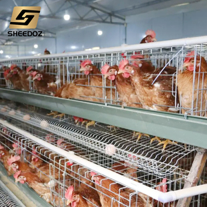 Équipements d'élevage <span class=keywords><strong>en</strong></span> coopérative, caisses, élevage <span class=keywords><strong>en</strong></span> couches, équipement pour poulets, <span class=keywords><strong>vente</strong></span> de poulets, système de batterie pour œufs, volailles, poules pondeuses, cage à poules pondeuses - Product Image 4