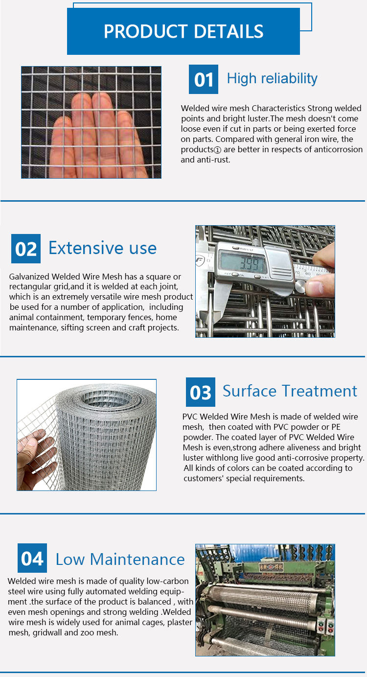 Electro Hot Dipped Galvanized Welded Wire Mesh Roll 3/8 Inch 3/4 X 3/4 Inch