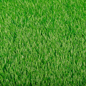 <span class=keywords><strong>Gazon</strong></span> artificiel <span class=keywords><strong>en</strong></span> <span class=keywords><strong>rouleau</strong></span> pour la décoration de mariage, les loisirs et l'aménagement paysager, matériau PP pour le badminton - Product Image 5