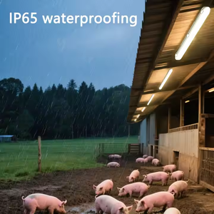 Éclairage pour élevage d'animaux Lampe à trois preuves à DEL 5FT 60W Lampe à ions négatifs utilisée pour les fermes porcines Fermes d'élevage de poulets Fermes d'élevage de bovins - Product Image 3
