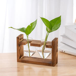 Plante Pothos Hydroponique Moderne dans un Vase en Verre Transparent avec Cadre en Bois Créatif Ornements de Bureau en Bois Massif Vase de Table - Product Image 6