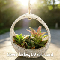 Plantes succulentes artificielles réalistes avec pot, décoration murale ou de bureau, fabriquées en Chine, ne se décolorent pas