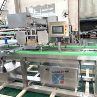 Ligne de production de bonbons gommeux Starch Mogul Line Gummy Machine