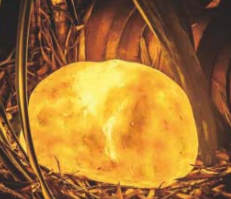 Lampe LED 3D personnalisée en forme de pierre, étanche IP65, en résine et fibre de verre, pour aménagement extérieur, jardin, pelouse, décorations de vacances - Product Image 6