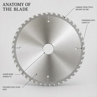 Ensemble de lames de scie circulaire TCT ANGHUA pour scie à panneaux, scie de table, coupe de planches de bois, fournisseur en gros