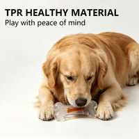 Jouet à mâcher pour chien en TPR composite dur, à picots, parfum bacon, design transparent double couche, pour chiot, pour le nettoyage des dents et le soulagement du stress