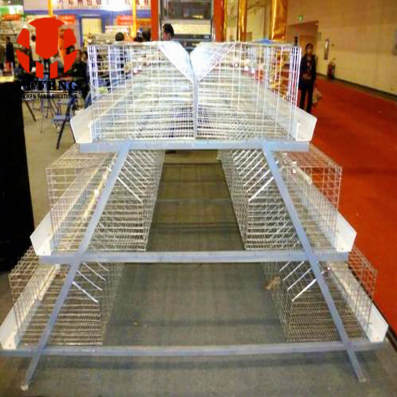 A Type Automatic Broiler Chicken Cage