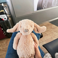Jellcatt UK Peluche chiot aux oreilles tombantes couleur crème, douce, marron clair, cadeau de Noël et de Thanksgiving