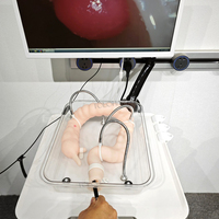 LHNCS Modèle chirurgical du côlon plié Colonoscope torsadé Simulation souple Modèle d'entraînement à la coloscopie