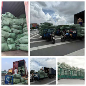 ชุดเสื้อผ้าเด็ก 2 ชิ้น ผ้าฝ้าย ใส่สบายสำหรับฤดูร้อน แบบลำลอง เสื้อกล้ามลายตาราง กางเกงขาสั้นพิมพ์ลาย สำหรับเด็กอายุ 0-12 ปี รุ่น B+ หมายเลข No - Product Image 2