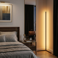 Lampe de sol d'angle LED minimaliste moderne à lumière ambiante RGB 24W ultra-mince au design métallique élégant, à intensité variable