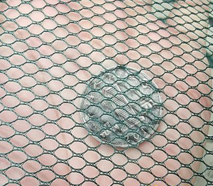 Katlanır Naylon Karides Kafesi Ağı Balık Yakalama Aracı Yengeç Monopterus Albus Loach Istakoz için - Product Image 5