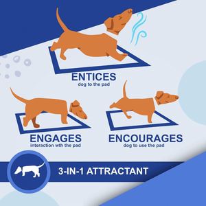 Envío Rápido, Almohadillas Superabsorbentes Personalizables para Entrenamiento de Mascotas, Almohadillas Desechables para Orina de Perros y Cachorros - Product Image 4