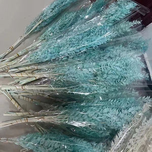 للبيع بالجملة حزم أوراق الأوكالبتوس الطبيعية المحفوظة المجففة من الأوكالبتوس الإيطالي الأبيض الحقيقي - Product Image 4