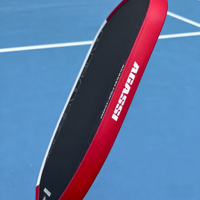 Raquette de pickleball avec noyau en mousse TFP de 16 mm, approuvée par l'USAPA, raquette professionnelle, écologique, durable, portable, divertissement
