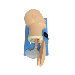 Maniquí SY-N3701 para Manejo de Vías Respiratorias en RCP, para Entrenamiento de Respiración de Rescate, Incluye Bolsa, Válvula y Mascarilla, Producto de Ciencias Médicas - Product Image 6