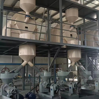 Nieuwe Automatische Grote Palmfruitolieraffinage Complete Productielijn Efficiënt Scheiden Van Extractie Oliehoudende Zaden Ruwe Plant