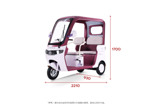 Minitype 3 plazas triciclo eléctrico Scooter bicicleta para adultos 3 ruedas vehículo de pasajeros - Product Image 6