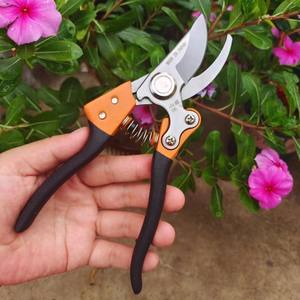 กรรไกรตัดแต่งกิ่ง Shanteng V10 ใบมีดสแตนเลส ด้ามจับกันลื่น สำหรับต้นไม้ผลไม้และทำสวน - Product Image 5