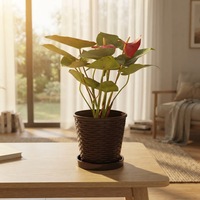 Pot de fleurs cylindrique en résine imitation rotin avec soucoupe, design minimaliste pour plantes succulentes, herbes et bonsaïs, idéal pour l'intérieur et le balcon.