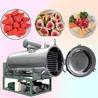 Lyophilisateur discontinu BZ 100 kg pour fruits du dragon, carottes, champignons shiitake, application clé : chocolat, oignons verts pour machine à saucisses