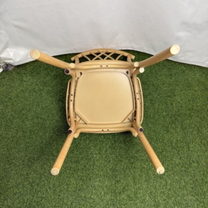 เก้าอี้วิลโลว์เชิงพาณิชย์ Celina ดีไซน์ใหม่ สีทอง ทนทาน - Product Image 1