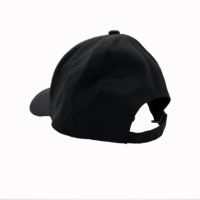 Gorras de Béisbol Bordadas Personalizadas de Alta Calidad con el Logotipo de The Links Incorporated, Letras Griegas Verdes Bordadas, Gorra de Hermandad