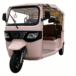 Tricycle à trois places pour adultes, fabriqué <span class=keywords><strong>en</strong></span> Chine, haute efficacité <span class=keywords><strong>de</strong></span> travail, marché europé<span class=keywords><strong>en</strong></span>, homologué EEC COC - Product Image 2