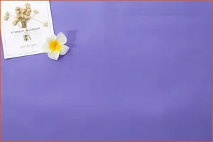 Tissu floqué tissé gaufré imprimé couleur personnalisable, 100% polyester, pour revêtement et doublure, uni - Grande Vente - Product Image 6