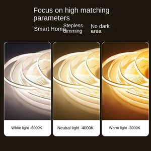 Venta caliente Fábrica Regulable dotsfree luz 480LEDs/M DC 24V 12V 5V 10W RGB Blanco CCT Smart COB LED Strip - Product Image 6