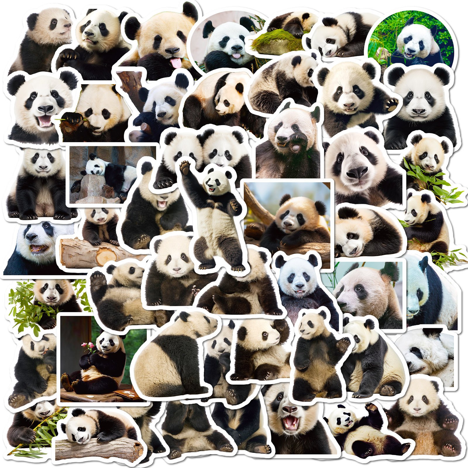 50pcs