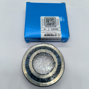 Stieber 汽车离合器离心式离合器飞轮 RSCI300M RSCI300 - Product Image 1
