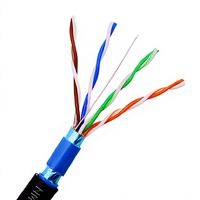 Kabel Ethernet Cat5e FTP Outdoor dengan Selubung Luar PE untuk Penggunaan Bawah Tanah & Luar Ruangan (Suplai Massal)