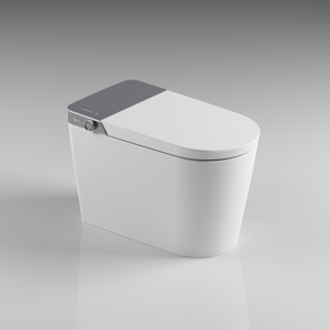 Умное умное биде - Product Image 1