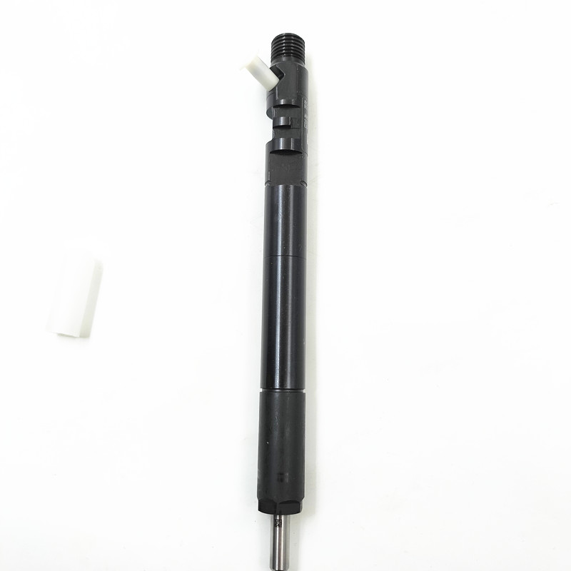 common fuel injector fuel injector EJBR02801D EJBR02901D EJBR03701D for Delphi engine