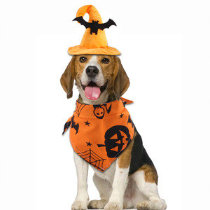 Ensemble de costumes d'Halloween pour animaux de compagnie Manga, taille unique, chapeau de chauve-souris, bavoir citrouille, accessoire pour chien et chat - Product Image 1