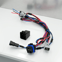 Kabel Ekstensi Relay Kit Lampu Kabut & Lampu Depan Mobil untuk Penggunaan Sepeda Motor, Elektronik & Peralatan Rumah Tangga, Berperingkat IP65