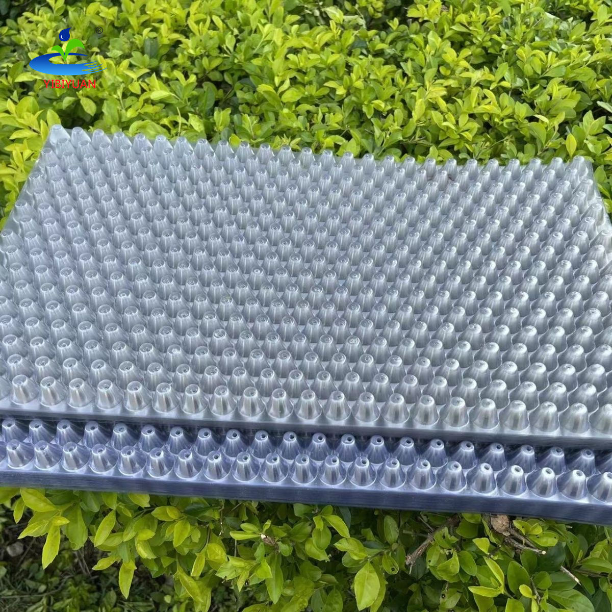 Vassoi In Plastica Per Alimenti - Foto 12