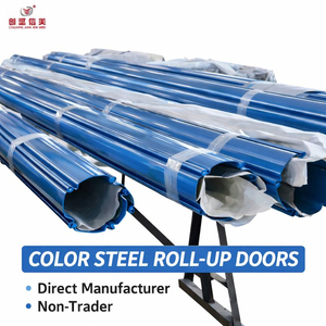 Porte de garage automatique motorisée en acier, à enroulement métallique, pour extérieur, avec couleurs personnalisées - Product Image 5
