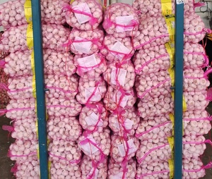 中国供应商以低廉的价格批发优质新鲜蔬菜大蒜 - Product Image 6
