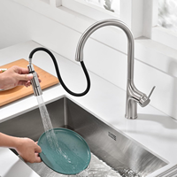 Robinet de cuisine classique certifié DOE en acier inoxydable 304, 2 modes, finition nickel brossé, monocommande, montage sur plan, pour usage hôtelier