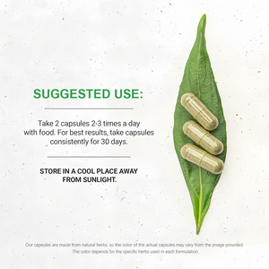 Kapsul ekstrak Guarana pelangsing untuk dewasa, penurunan berat badan-Suplemen Herbal terjadi alami - Product Image 3