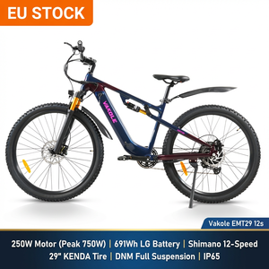 Bicicleta eléctrica híbrida Vakole EMT29 12s 250W 29 pulgadas con suspensión completa, sensor de torque de 691Wh, Shimano 12, fabricante OEM. - Product Image 2