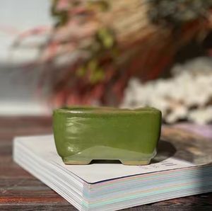 Pots succulents ronds en céramique peints en bleu de style de vente chaude avec plateau - Product Image 5