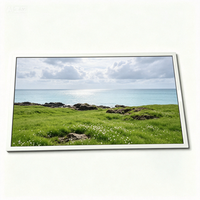 TM065QDGP10 6,5 Zoll 640*480 TFT LCD-Bildschirm