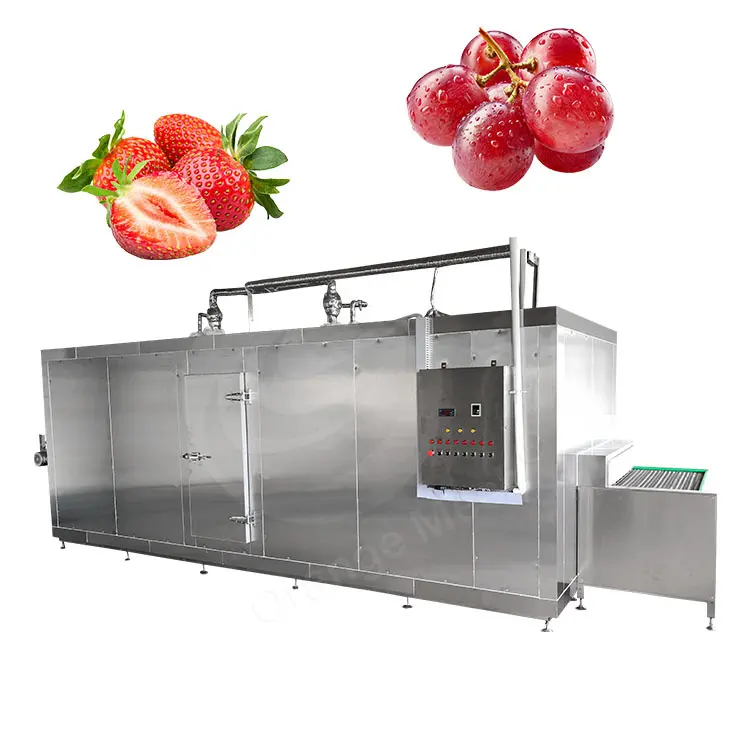 ORME Small Economical Freeze Tunnel Bread Compact Iqf Ready Prepared Meal Machine for Berry